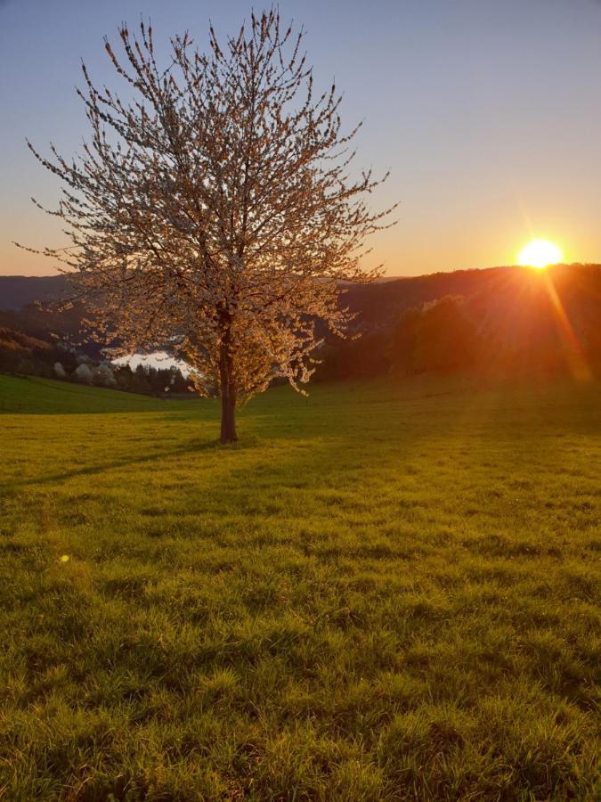 Garden & Hill Ferienwohnung Limburg Simmerath Exteriér fotografie